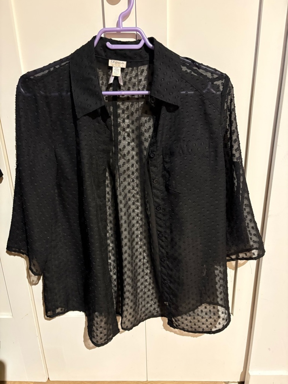 Sheer Black Dot-Textured Button-Up Top